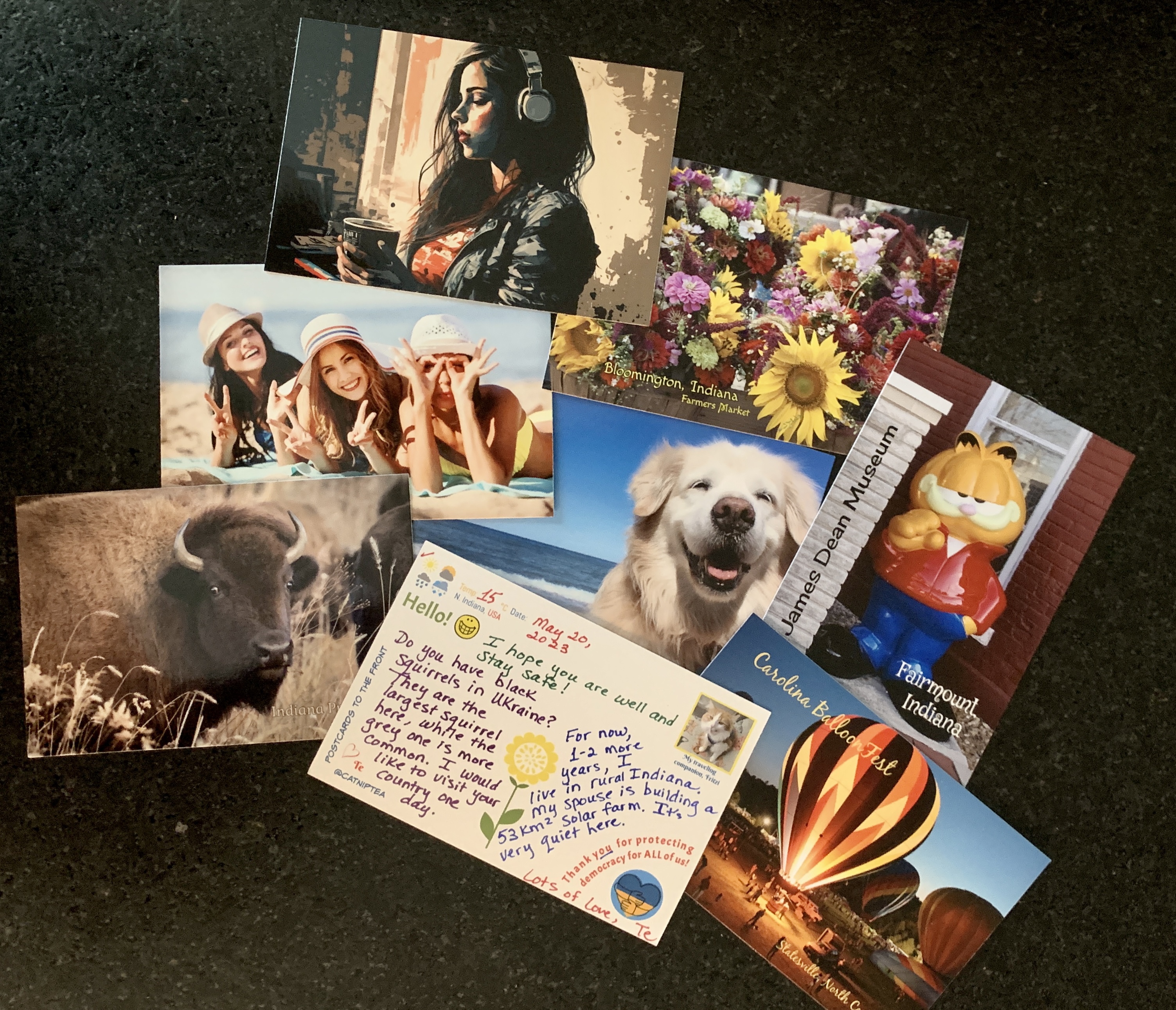 Assorted picture postcards — bison, dog, sunflowers, hot air balloon — with a handwritten note from rural Indiana