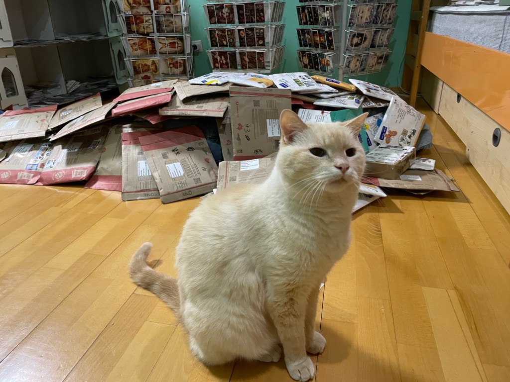 Interview with Mr.&nbsp;Cat