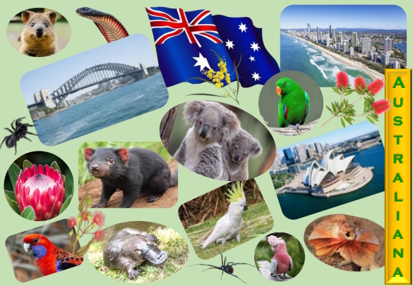 Love will defeat savagery and&nbsp;fascism